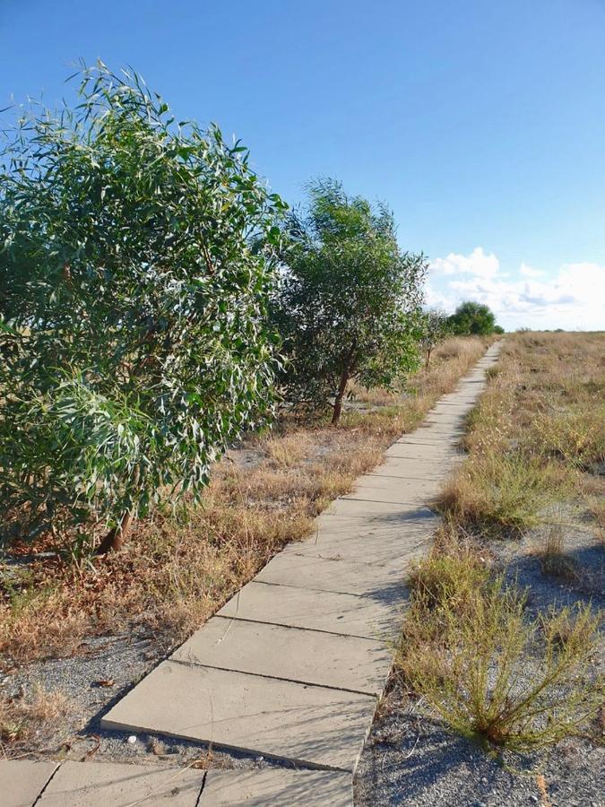 Vista Mare Su Tre Piani Con Giardino Villa Falerna Kültér fotó